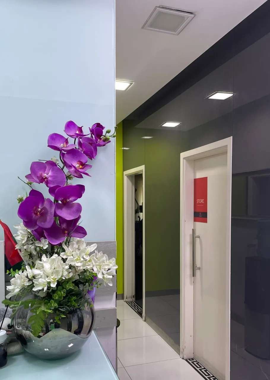 Corridor with an orchid arrangement and room doors, Al Satwa