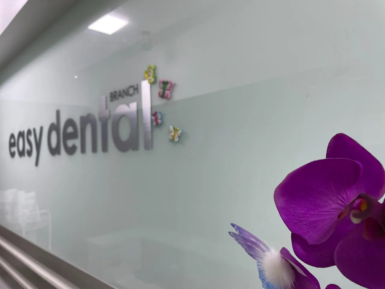 Reception at Easy Dental Clinic in Al Satwa